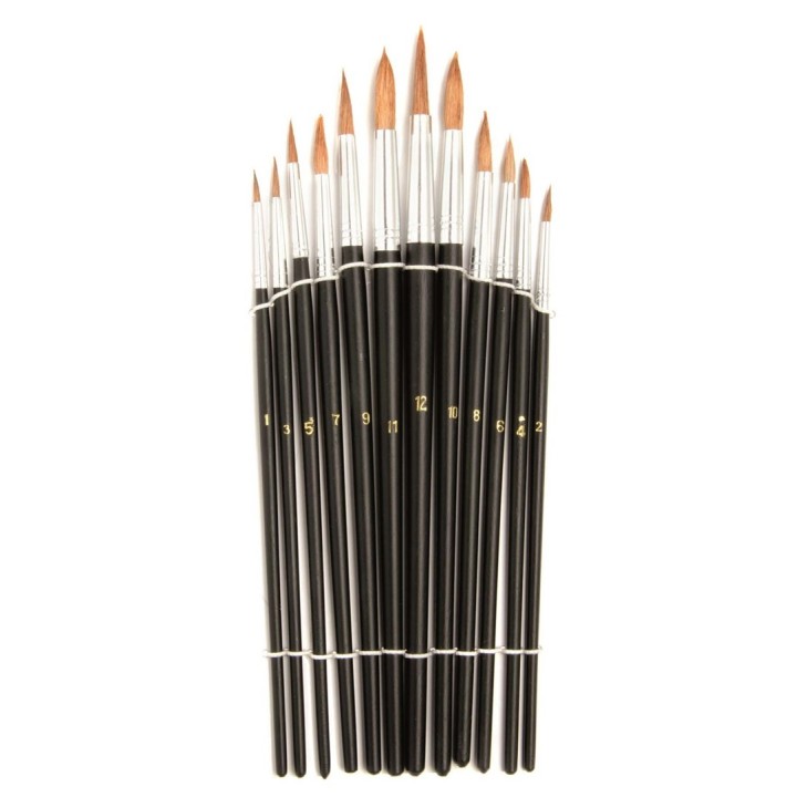 Paint brush assortment, 12pcs