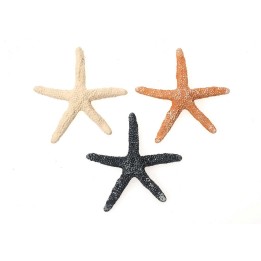 Etoile de mer polyrésine, mix 6x6x0,7cm 3pcs