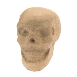 Tête de mort en carton 15,5x10,5x12cm