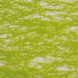 Ruban non-tissé 60mm 10m vert clair
