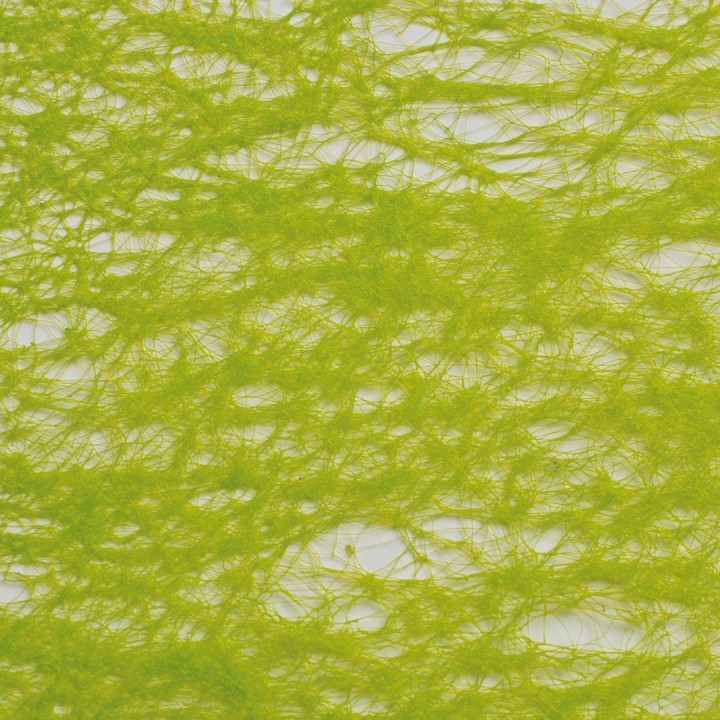 Ruban non-tissé 60mm 10m vert clair