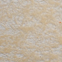 Ruban non-tissé 60mm 10m beige