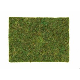 Moosplatte 40x30cm
