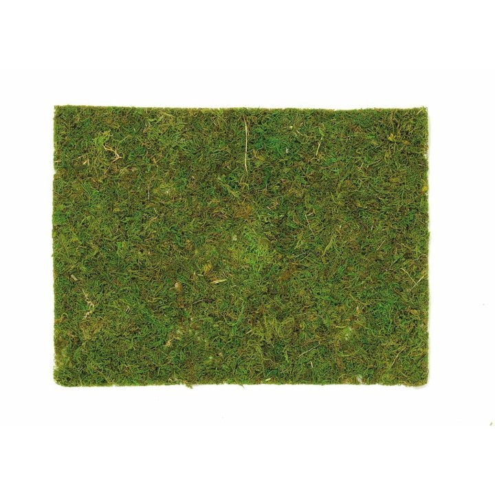 Moosplatte 40x30cm