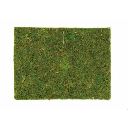 Plaque en mousse 30x20cm