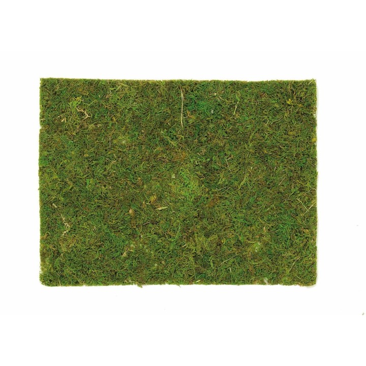 Moosplatte 30x20cm