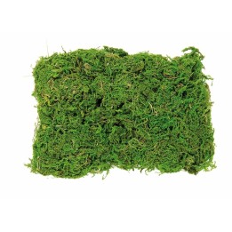 Moos Beutel 50g
