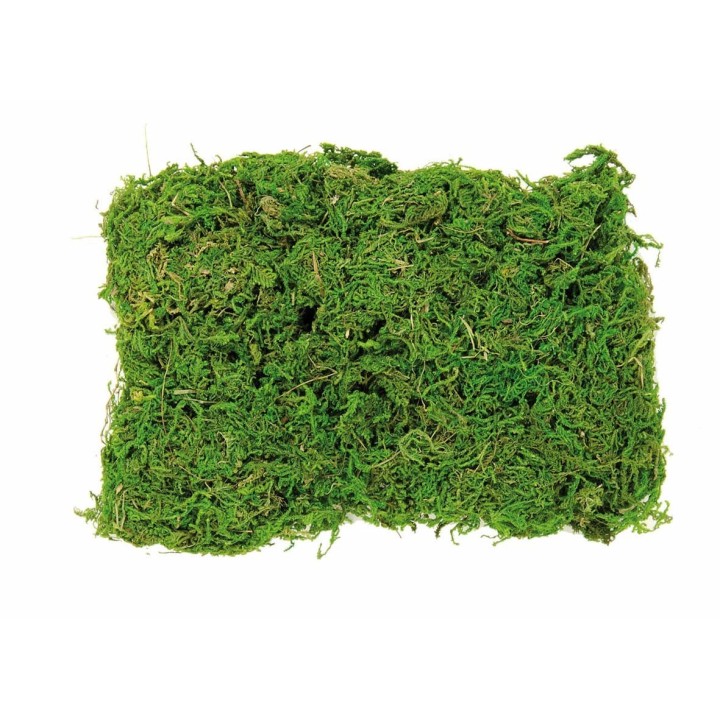 Moss bag 50g