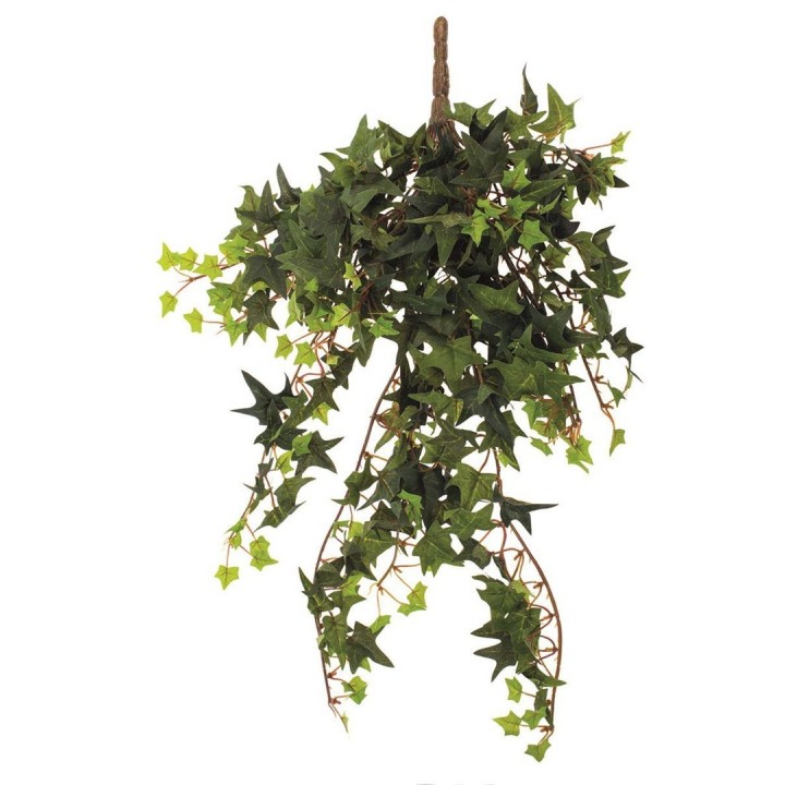 Buisson de lierre  302 feuilles 60cm