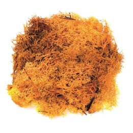 Mousse orange 50g