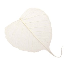 Leaves Willow 60g 10pcs white
