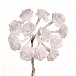 Rosettes blanches, 12 fleurs