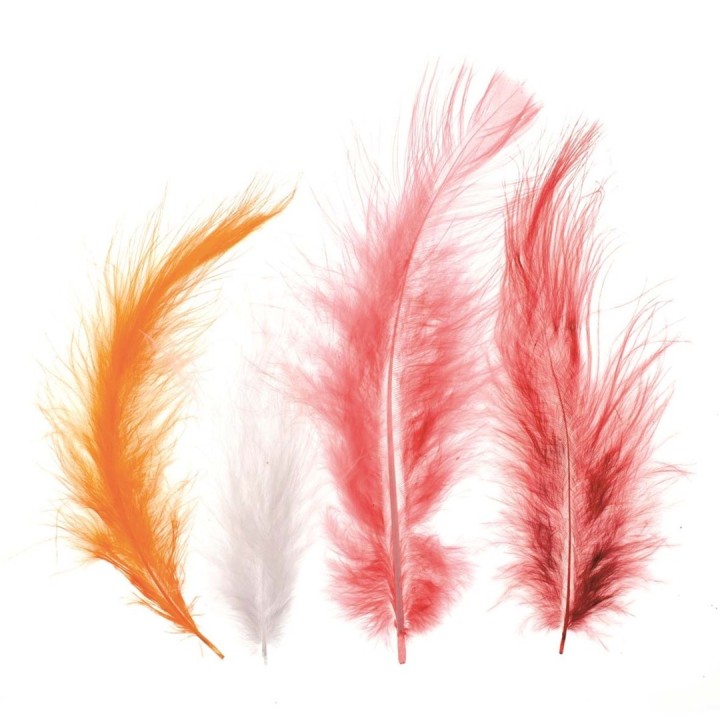 Plumes Marabout env.15pcs mix