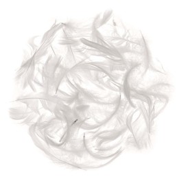 Marabufedern ca. 10g weiss