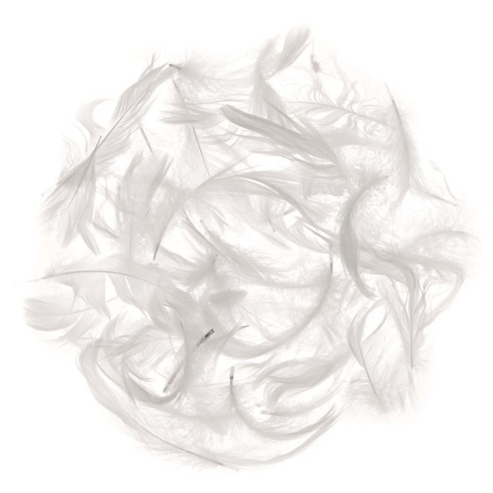 Plumes Marabout env.10 g blanc