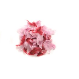 Deco-Federn rosa-sortiert 10g