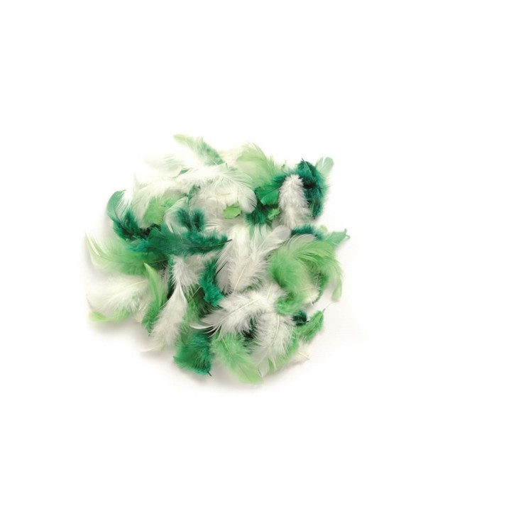 Plumes déco vert assortis 10g