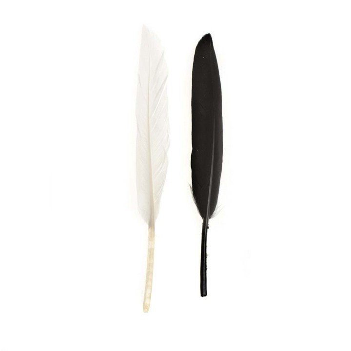 Indianerfeder 13cm ca.15 Stück schwarz/weiss