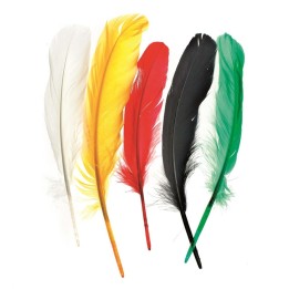 Indianerfeder 16cm ca.15 Stück mix