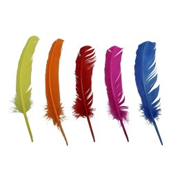 Indianerfedern, bunt, 5 Stück 28-30cm