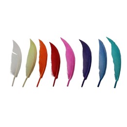 Indianerfedern, bunt, 30 Stück 13-16cm