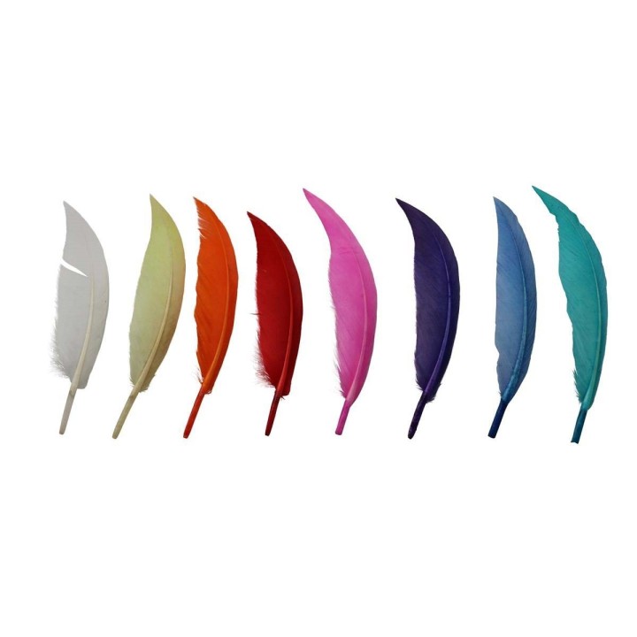 Indianerfedern, bunt, 30 Stück 13-16cm
