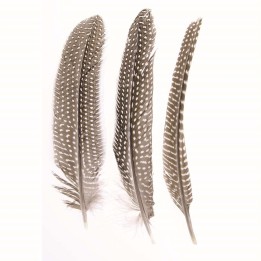 Perlhuhn Feder 2g 16-19cm 5 Stück