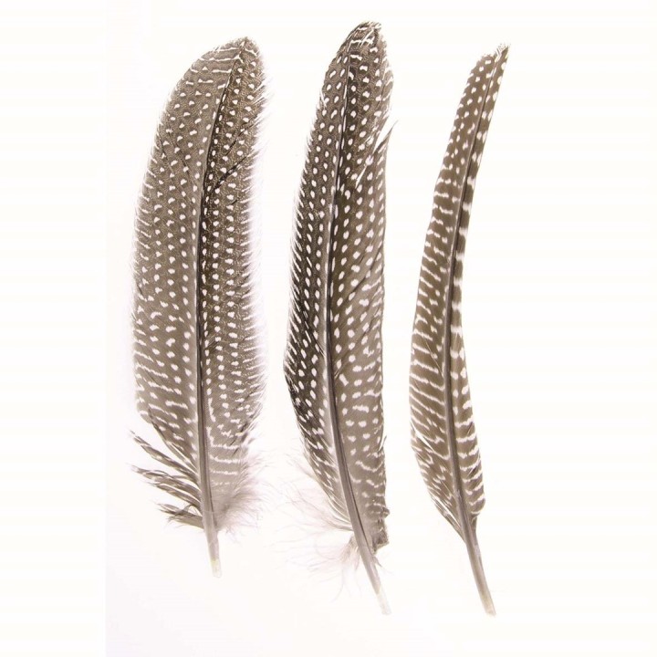 Perlhuhn Feder 2g 16-19cm 5 Stück