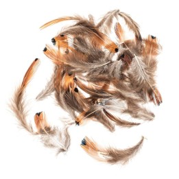 Fasanenfedern 5-12cm 10g