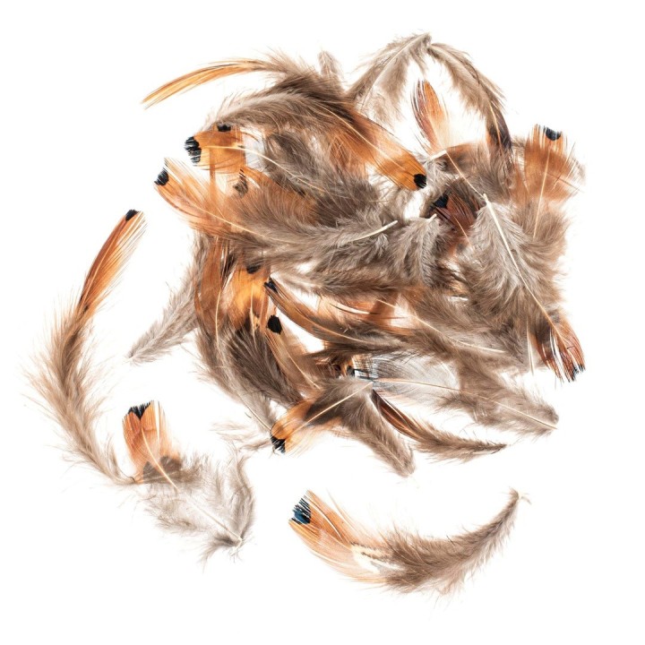 Plumes de faisan 5-12cm 10g