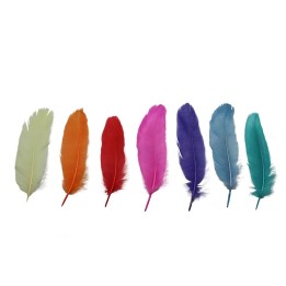 Plumes déco multicolore 4g 13-15cm
