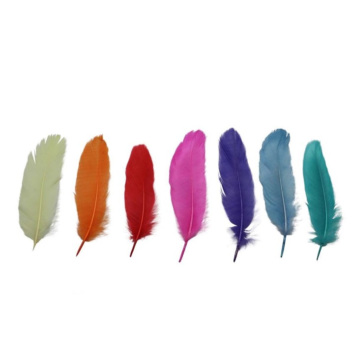 Plumes déco multicolore 4g 13-15cm