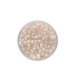 Rocailles 4,5mm 17g crystal AB