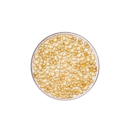 Farfalle 2/4mm matt gelb 17g