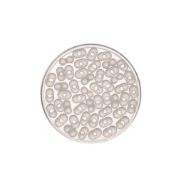 Rocailles Farfalle 3.2/6.5mm 17g blanc mat