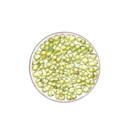 Farfalle 6,5mm hellgrün 17g