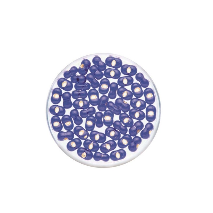 Rocailles Farfalle 6.5mm 17g bleu foncé garn.argent