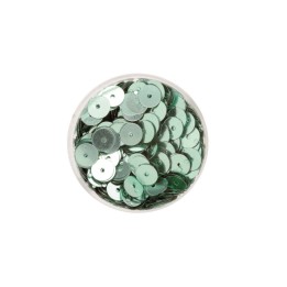 Paillettes menthe 6mm 7g