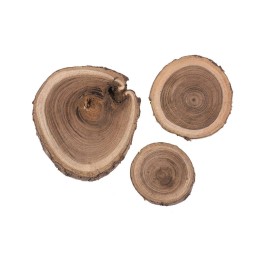 Disques bois bouleau naturel 80g 3-6cm