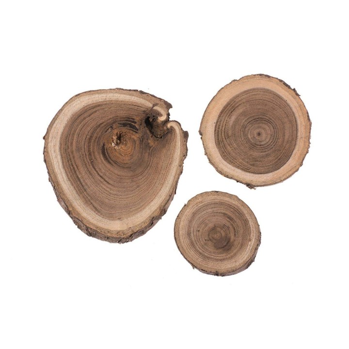 Birke Scheibe 80g 3-6cm