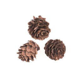 Tannezapfen klein 60g 2-3cm