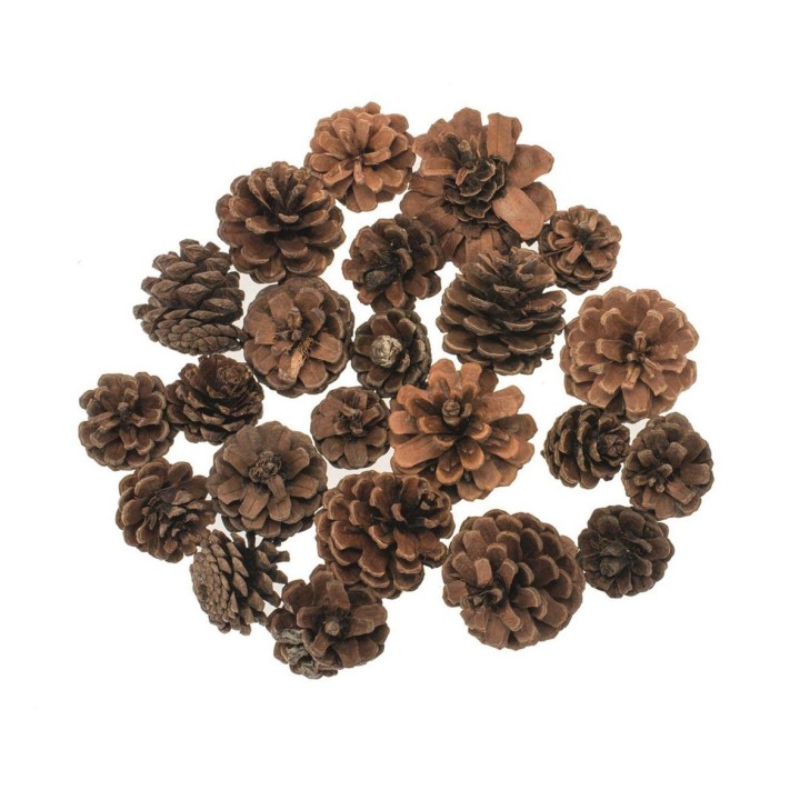 Kieferzapfen, sortiert, 2,5-5cm 100g