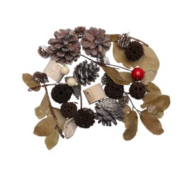 Zapfen-Mix Set 1, 70g mit Beere