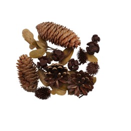 Zapfen-Mix Set 2, 70g