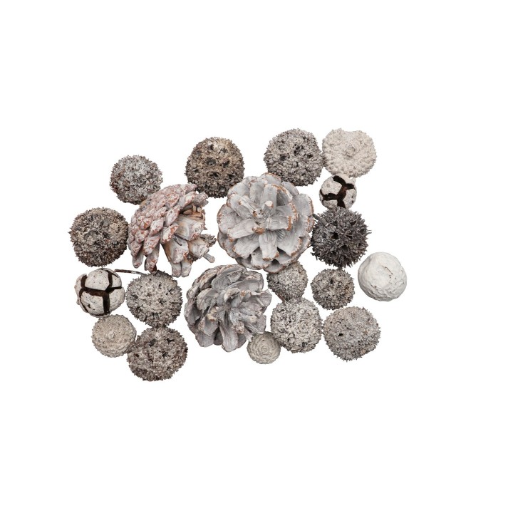 Zapfen-Mix Set 3, 70g gewaschen