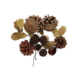 Zapfen-Mix Set 4, 70g mit Kastanien