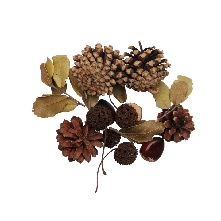 Zapfen-Mix Set 4, 170g mit Kastanien