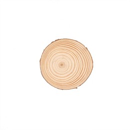 Holzscheibe 10x1cm