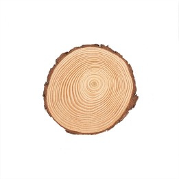 Wooden disc 15x1,5cm