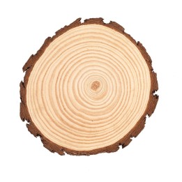 Holzscheibe 20-22x2cm